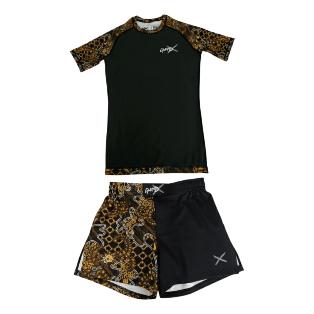 ชุดอุปกรณ์ BJJ & MMA ระดับพรีเ - Rash Guard บทวิจารณ์และราคา